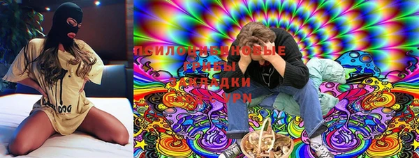 дурь Горно-Алтайск