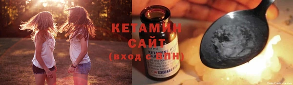 гидра Горняк