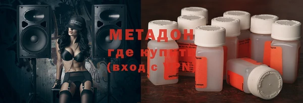 гидра Горняк