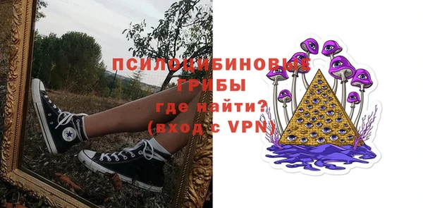 дурь Горно-Алтайск