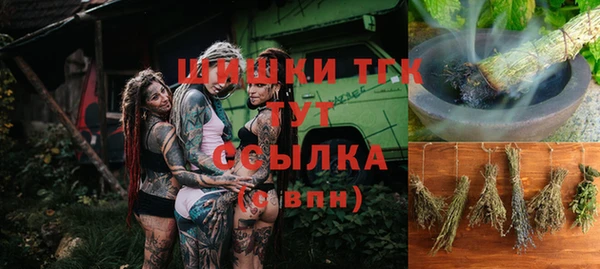 гидра Горняк