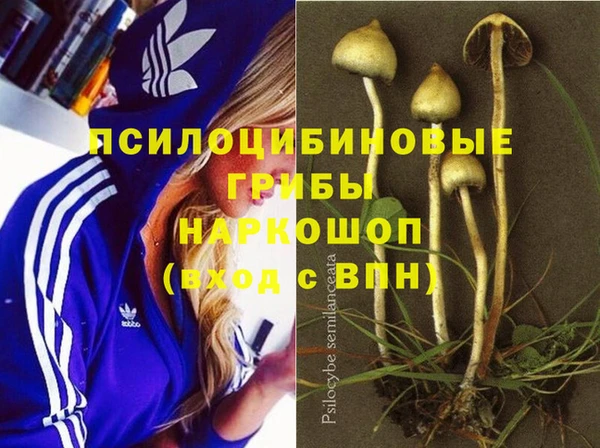 амф Вязьма