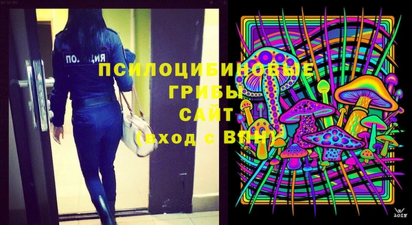 амф Вязьма