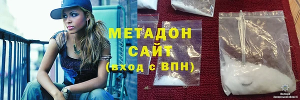 гидра Горняк